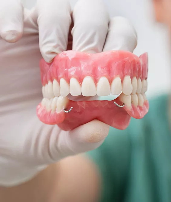 Model of dentures